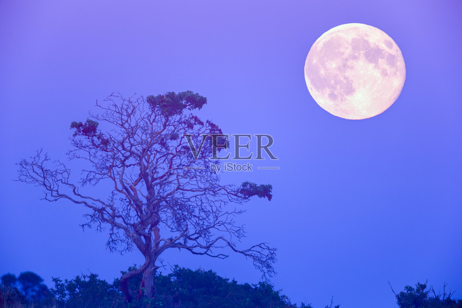 不列颠哥伦比亚省温哥华岛照片摄影图片