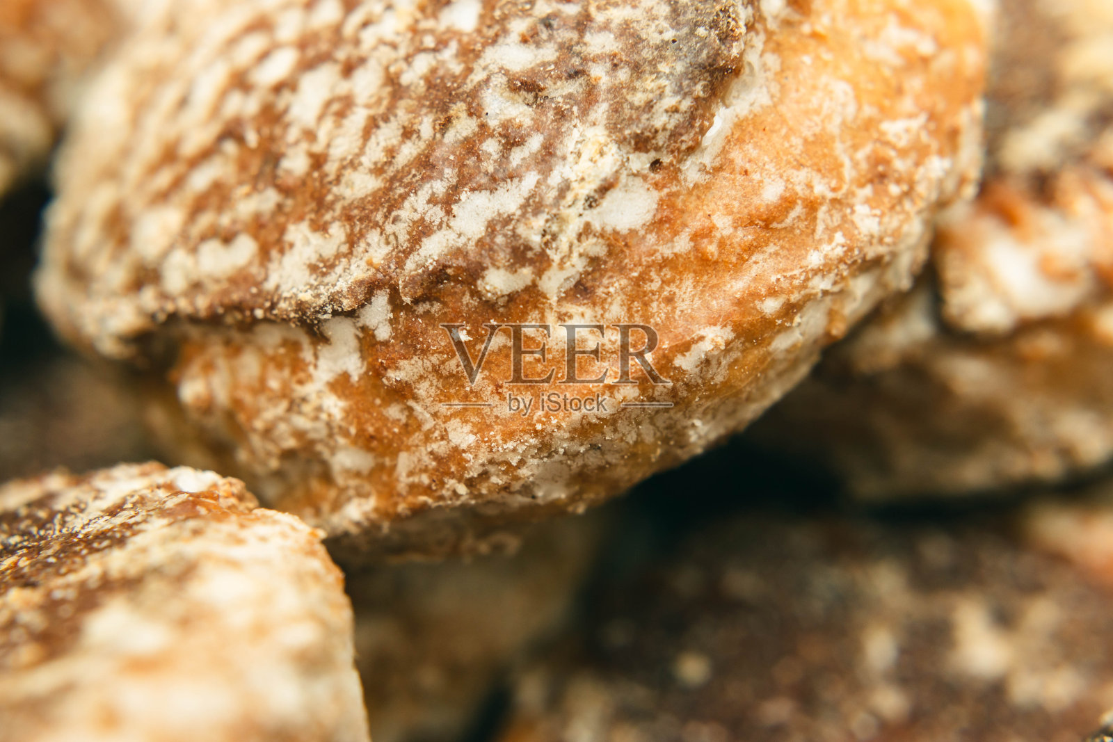 很多姜饼的特写照片摄影图片