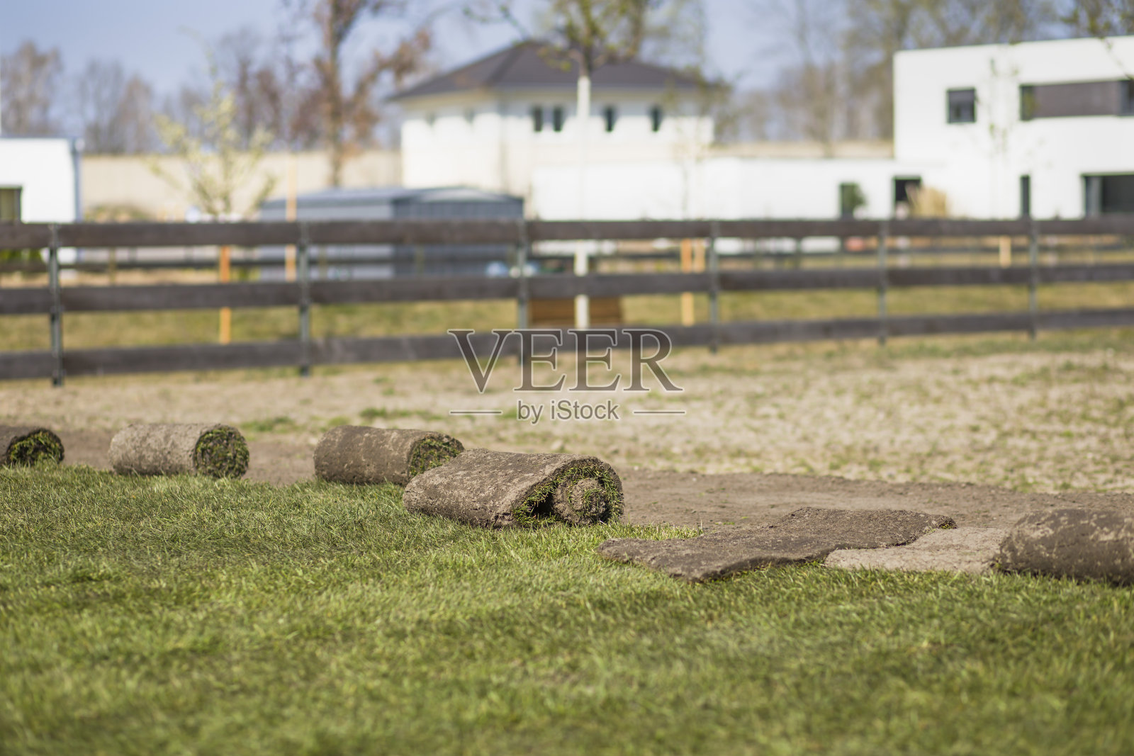 17、草木满园,新草自幼滚照片摄影图片