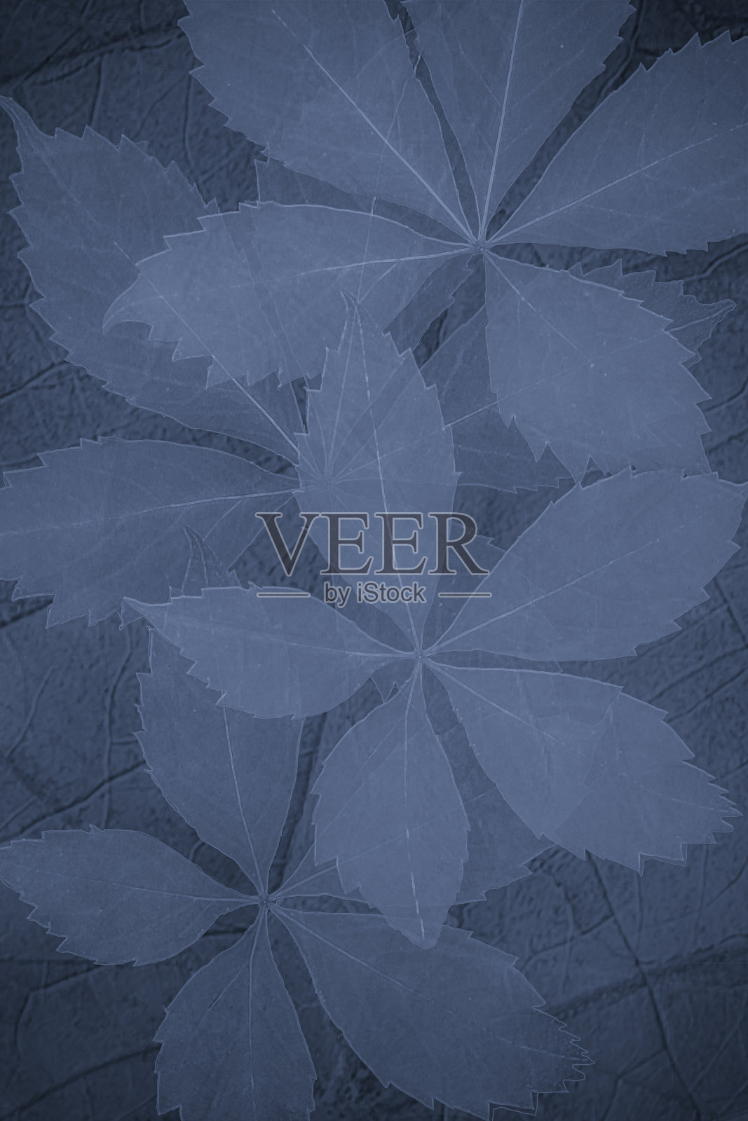 摘要蓝绿色叶子的背景照片摄影图片