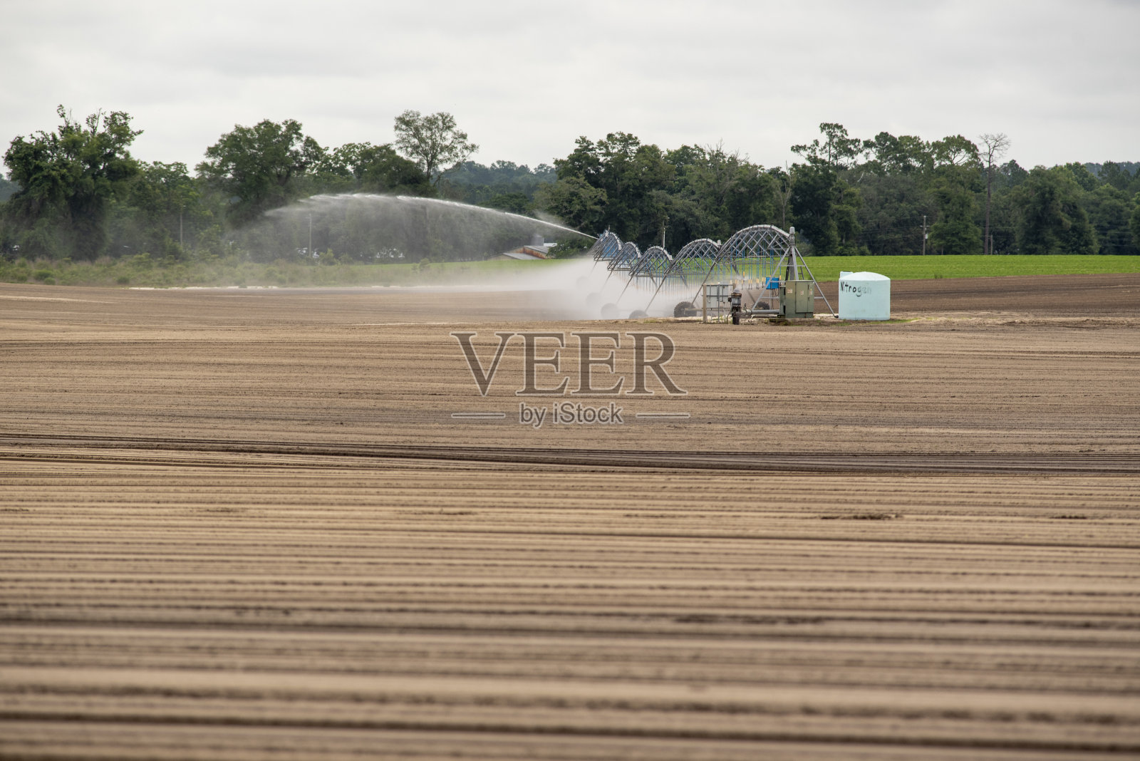 用循环灌溉喷洒水的床状农田照片摄影图片