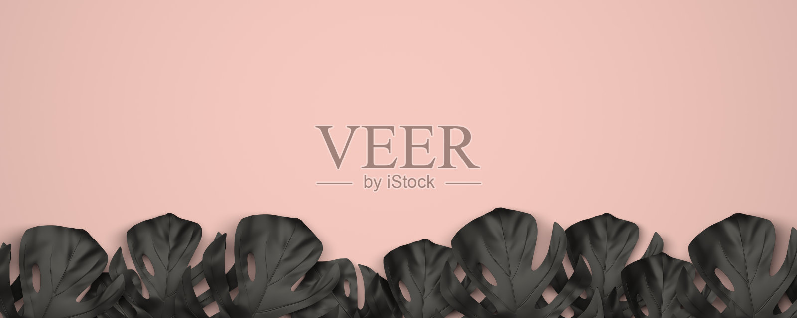 在底部形成边缘的黑色热带叶子照片摄影图片