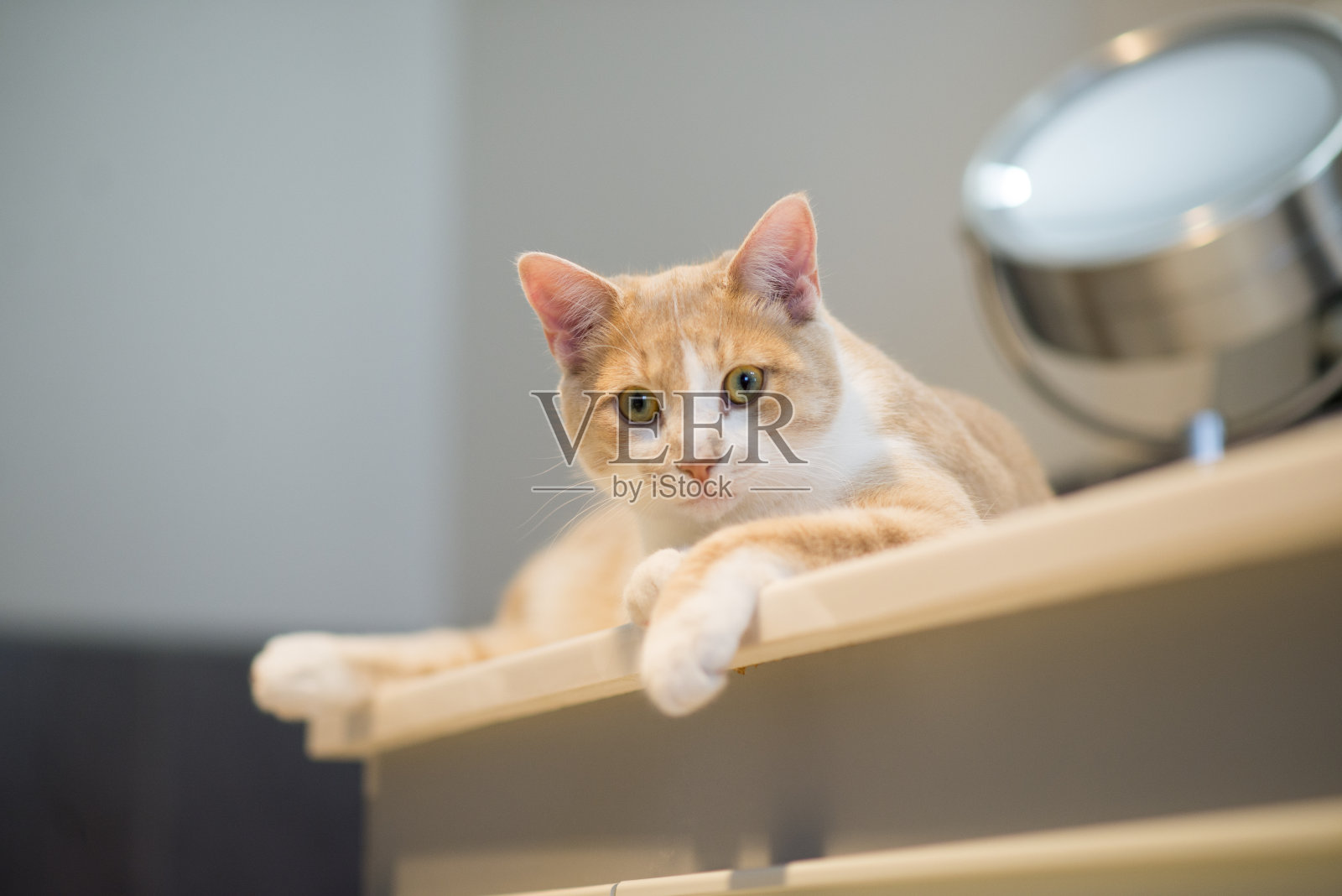 在柜台上放松照片摄影图片