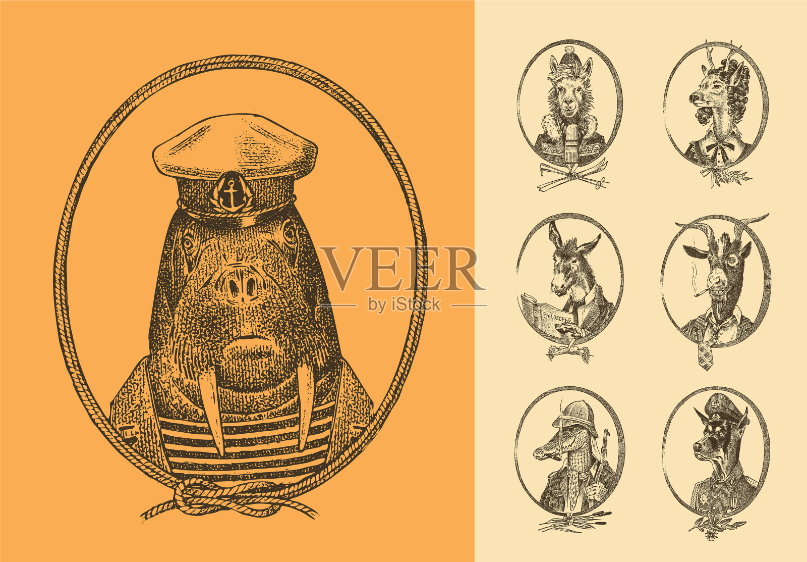 动物角色设定水手、海象、羊驼、鹿插画图片素材