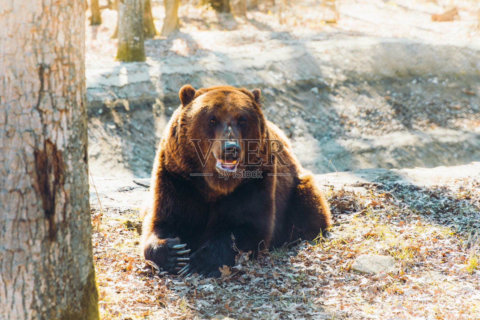 看谁在笑!照片摄影图片