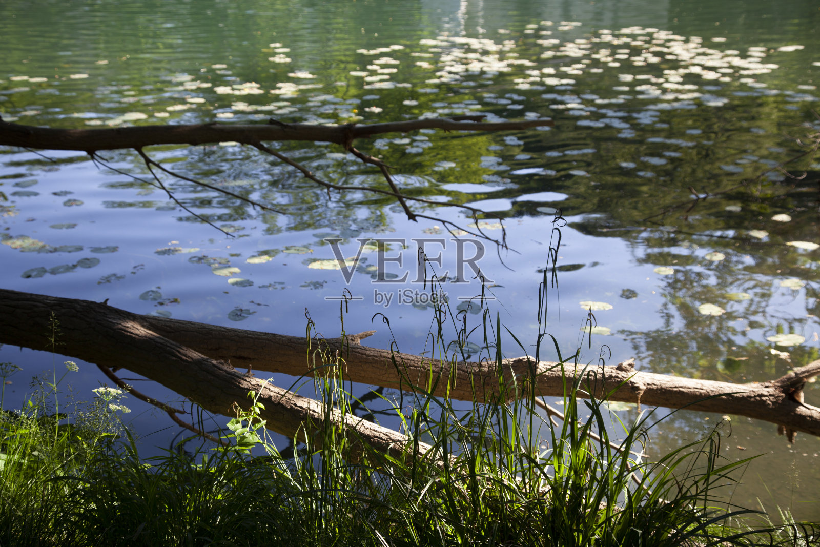 斯洛文尼亚维帕瓦河下游照片摄影图片