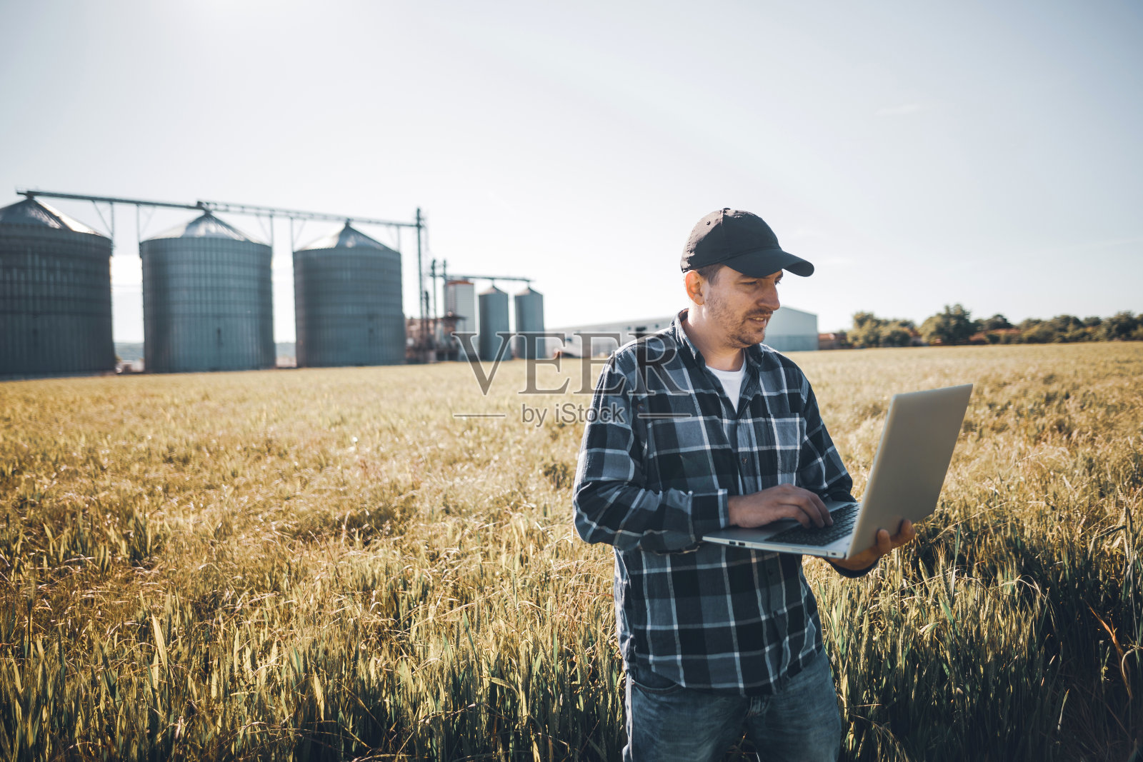 年轻的现代农民在麦田里使用笔记本电脑照片摄影图片