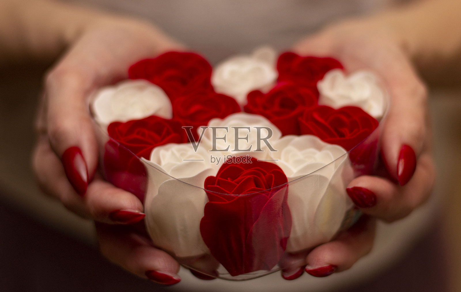 美丽的打扮女人的手与红色指甲与人工红白玫瑰。照片摄影图片