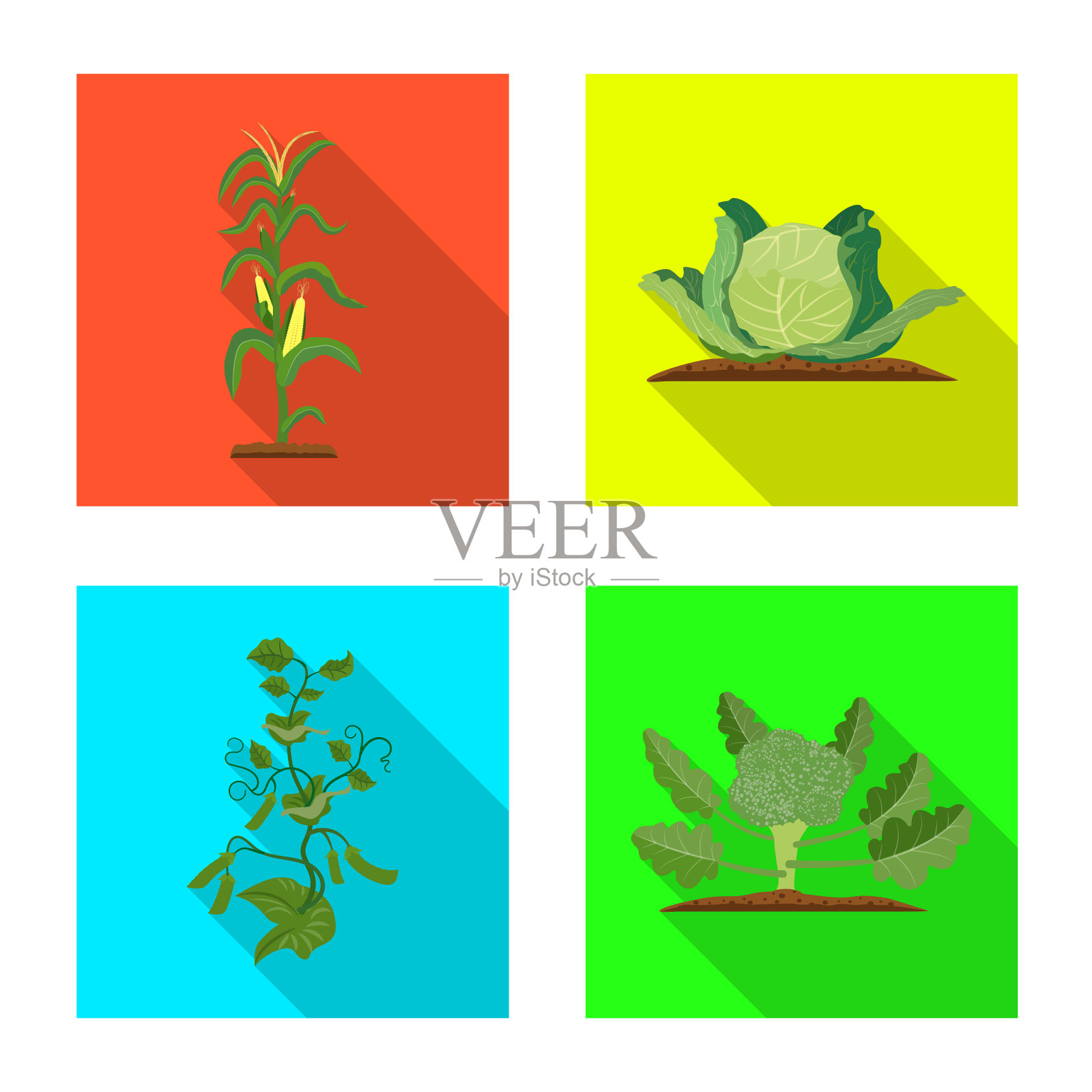 温室及植物标志插画图片素材