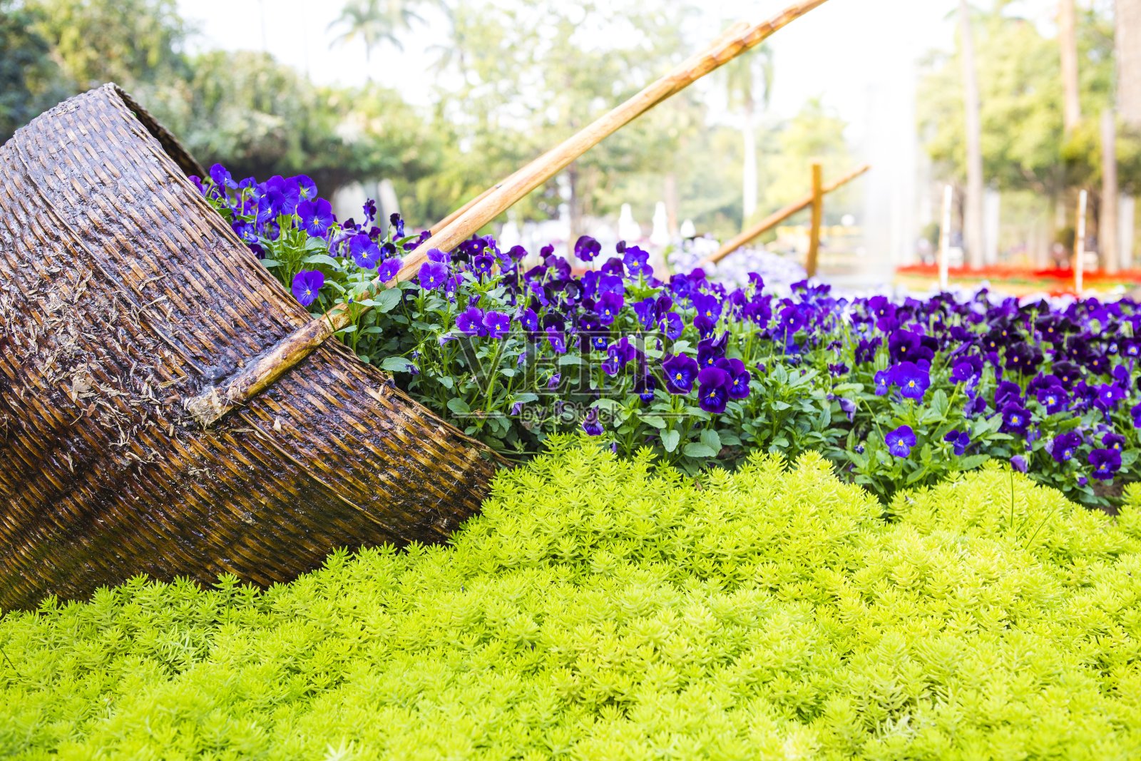 美丽的花与木篮子在模糊的公园照片摄影图片