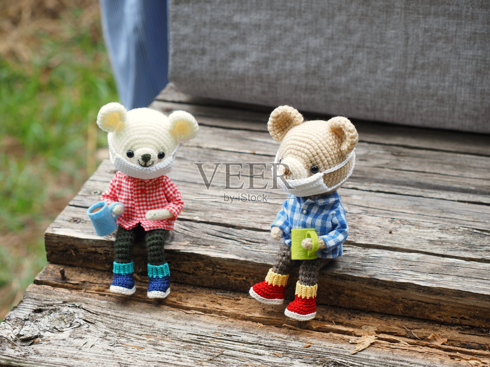 可爱的小动物照片摄影图片