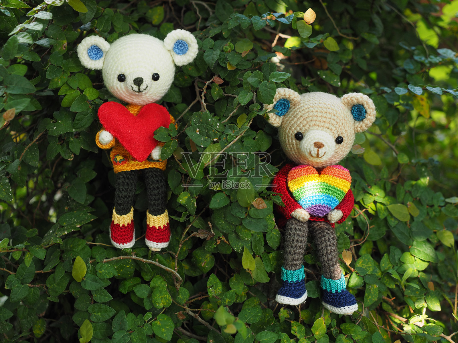 可爱的小动物照片摄影图片