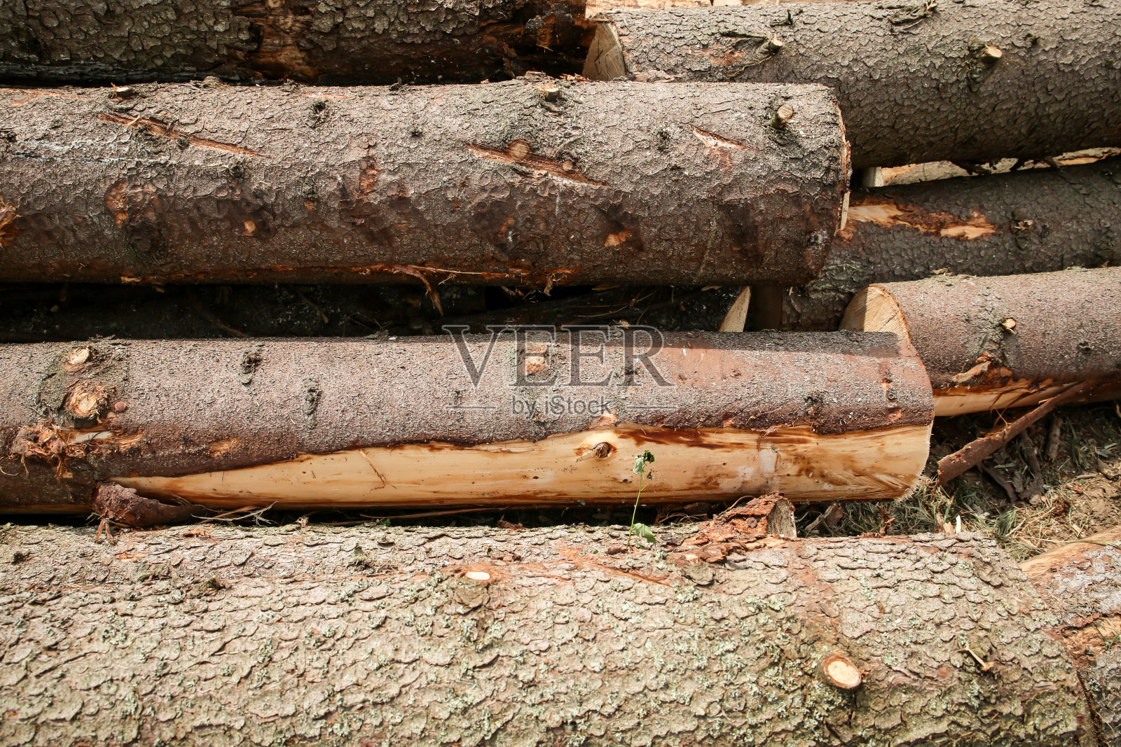 图案松树树干暗棕色树皮,一组水平的原木照片摄影图片