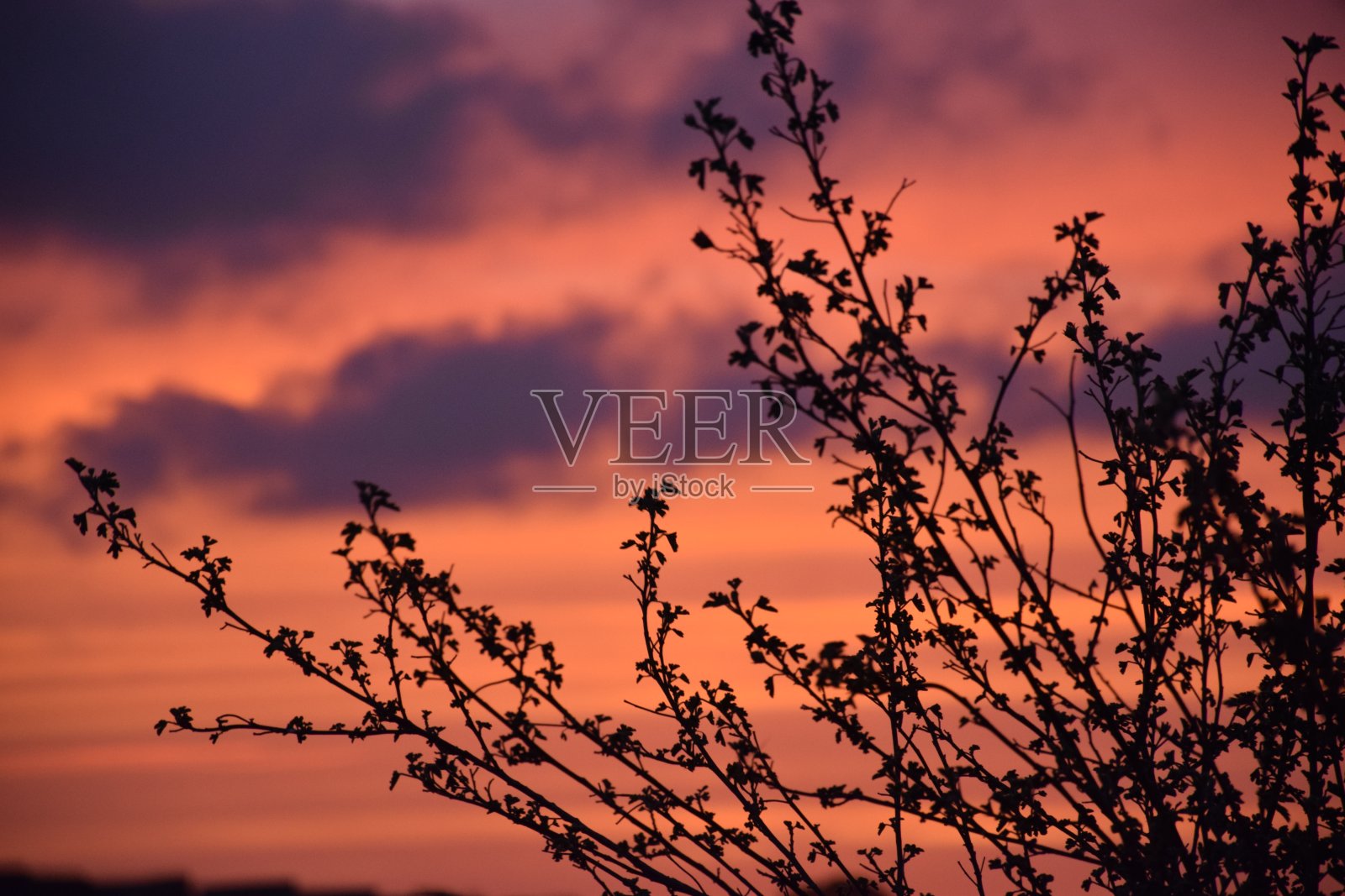 轮廓日落照片摄影图片