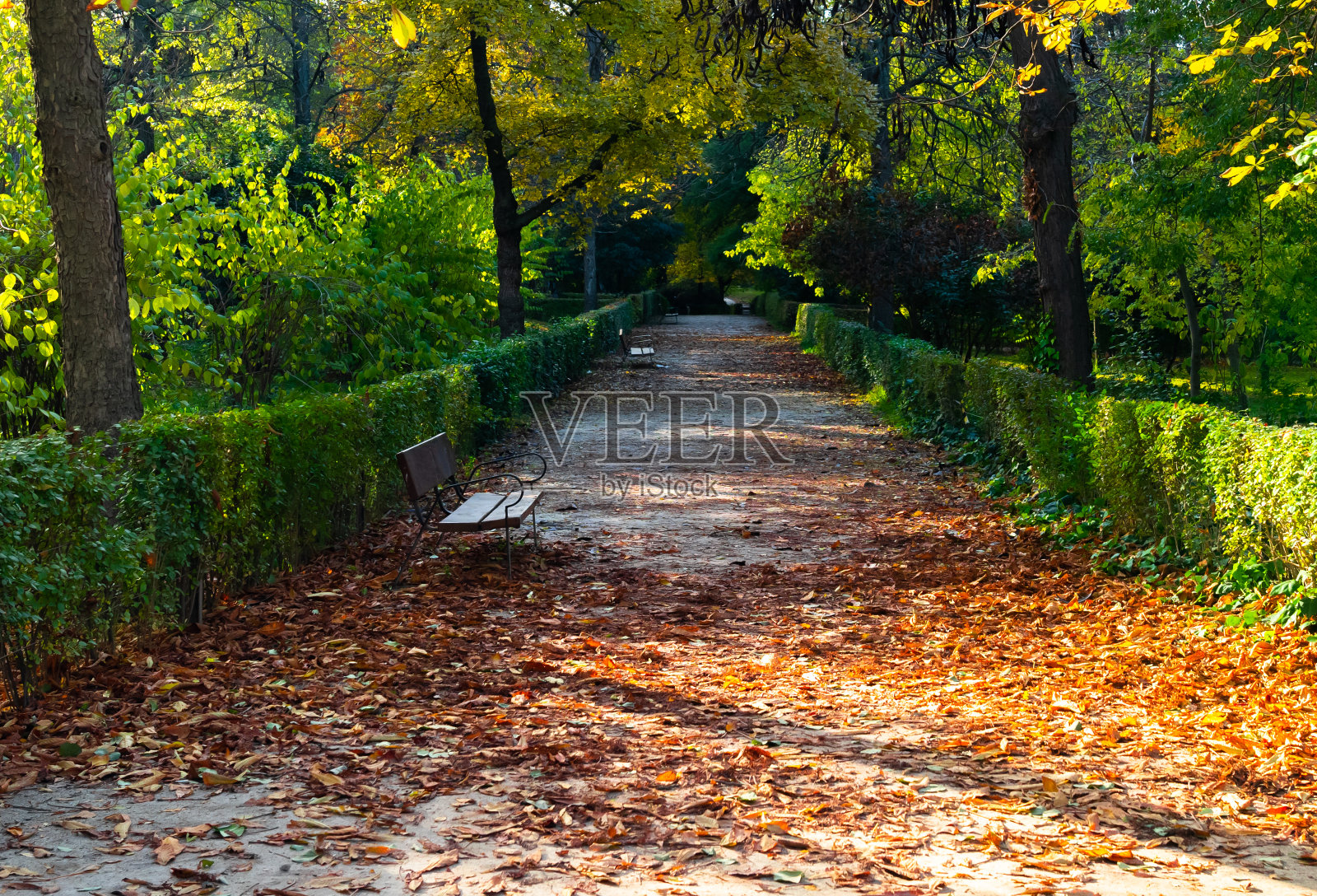 秋天公园里绿树成荫的小路上有一条长凳照片摄影图片