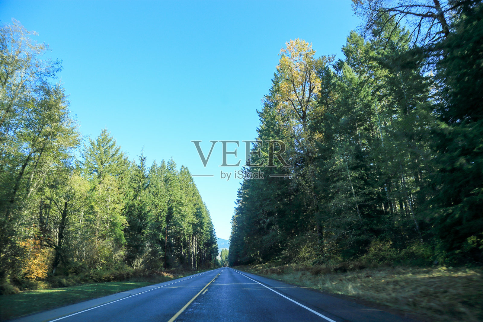 在去雷尼尔山的路上照片摄影图片