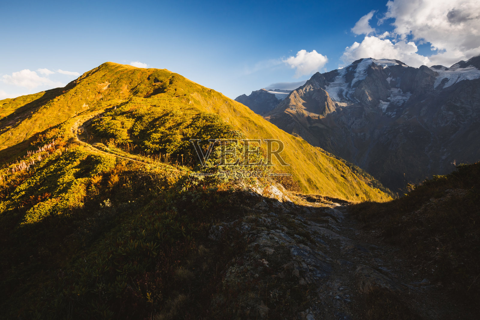 阳光下的高山草甸。地理位置:上斯瓦内蒂,格鲁吉亚,欧洲。照片摄影图片