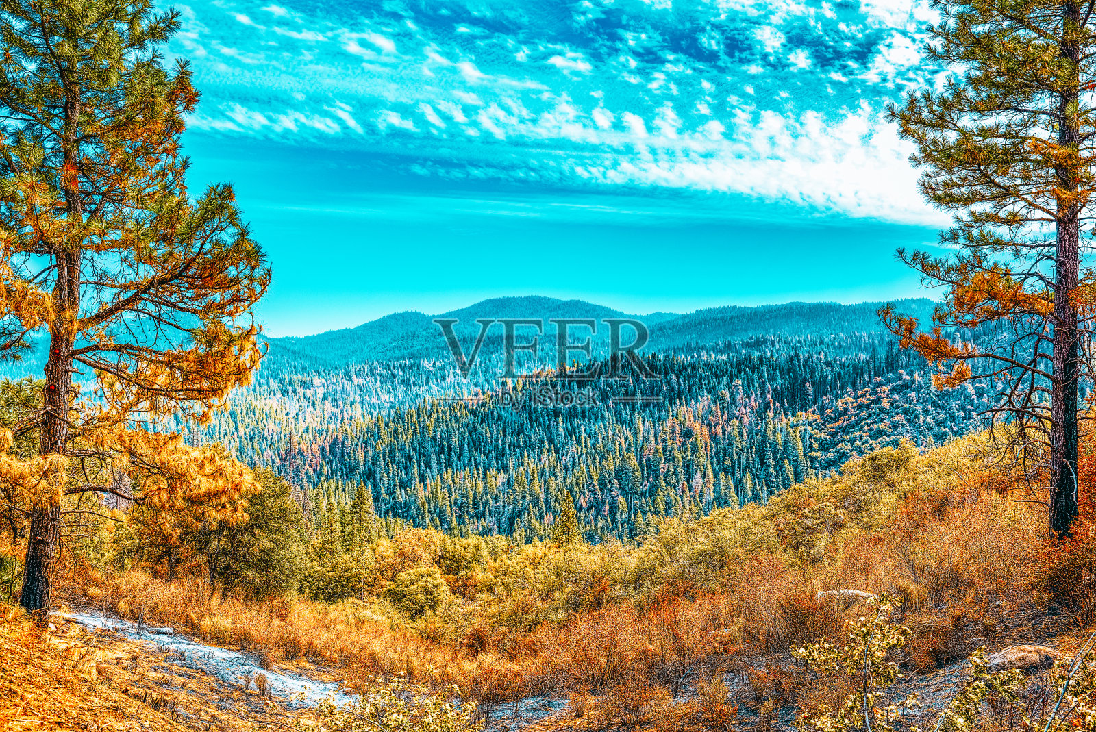 壮丽的美国国家自然公园-约塞米蒂。照片摄影图片