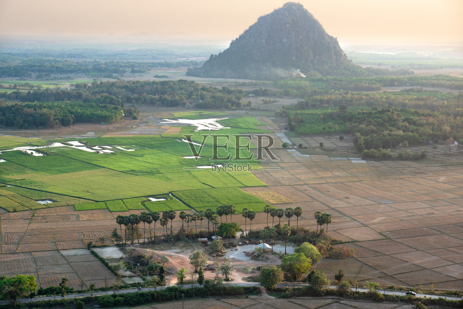 从山上看稻田照片摄影图片