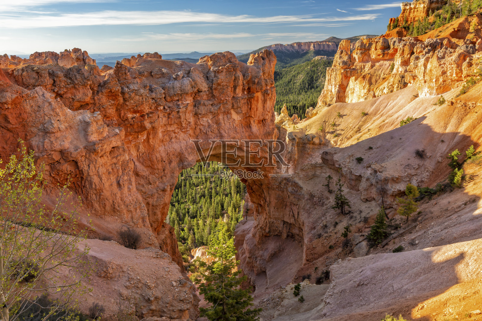 晨光中的自然桥照片摄影图片