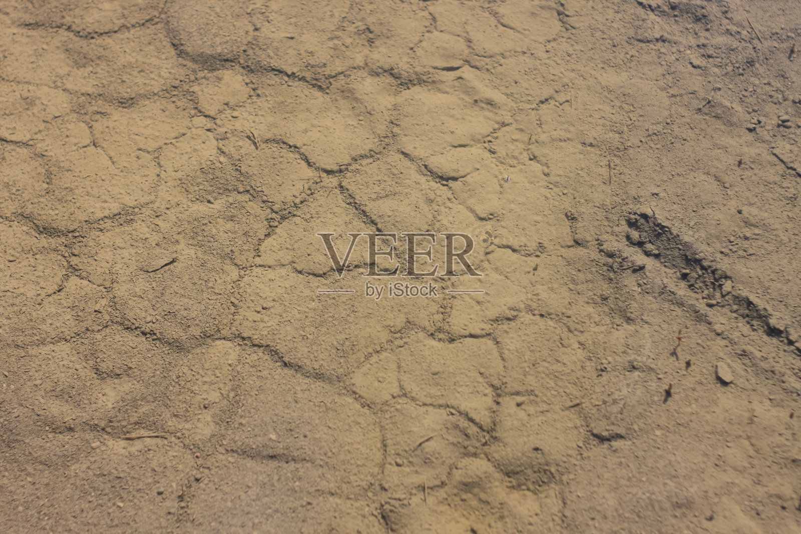 球粒愈合泥下的水背景。耀眼的阳光反射在海水中。用于治疗的粘土盐沼照片摄影图片