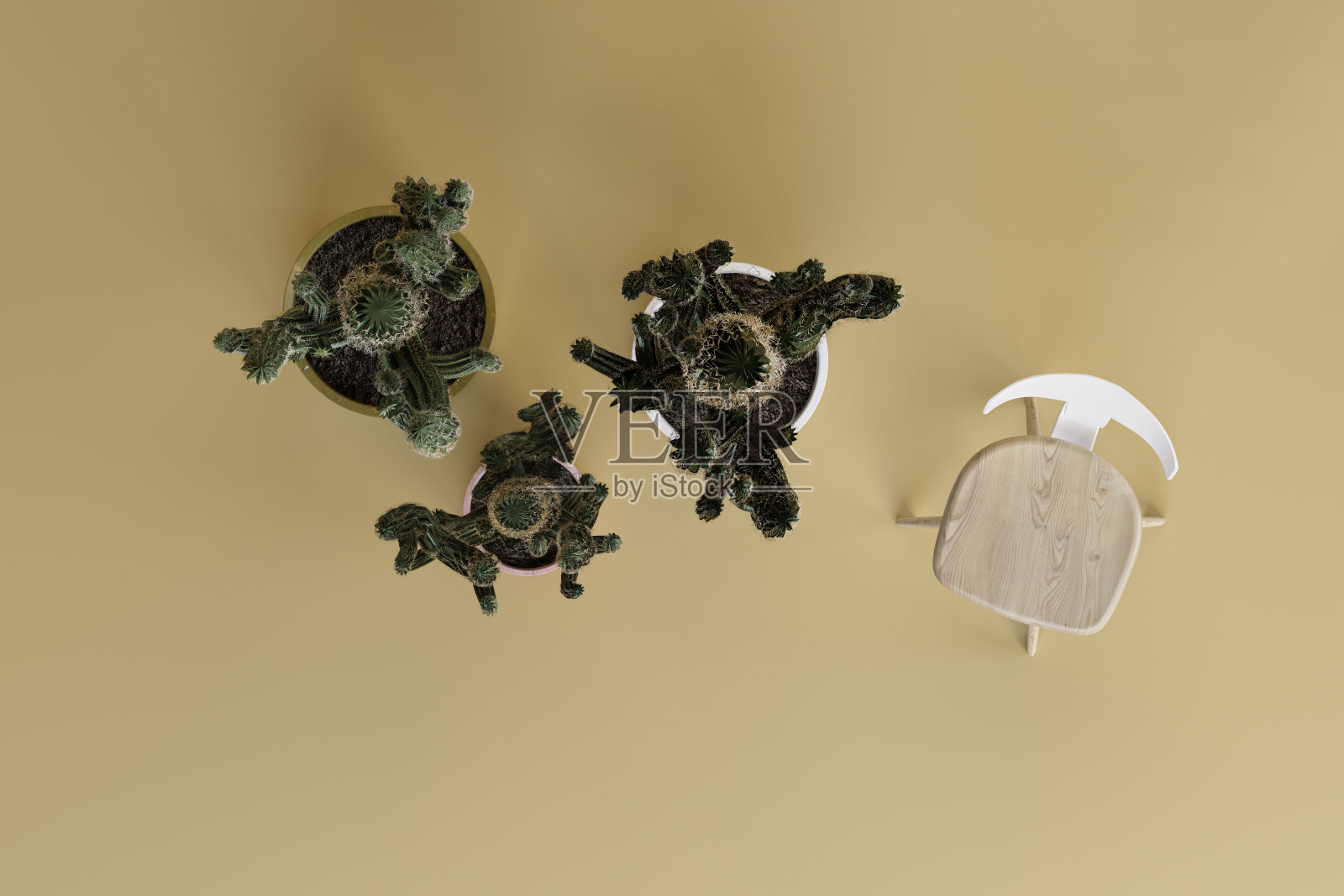 植物和家庭装饰项目在工作室的黄色背景照片摄影图片