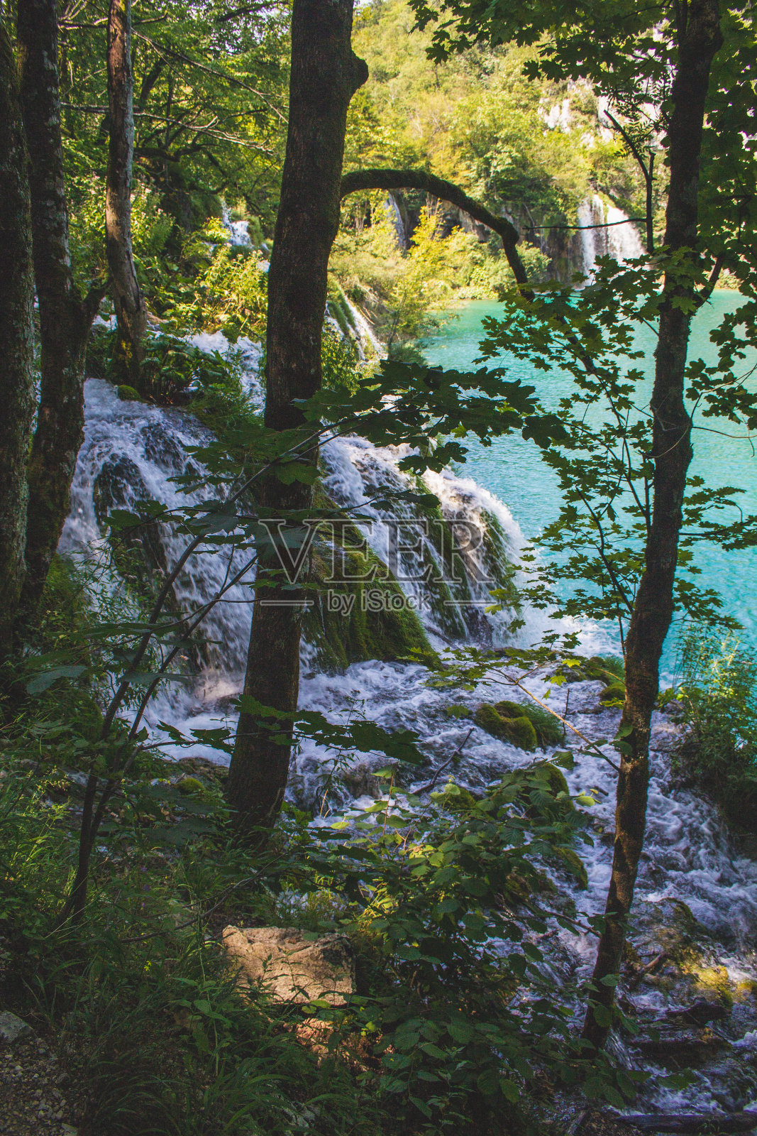 克罗地亚Plitvice湖国家公园照片摄影图片