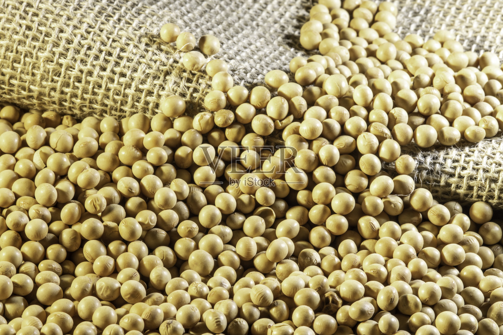 选择性聚焦巴西大豆种子背景照片摄影图片