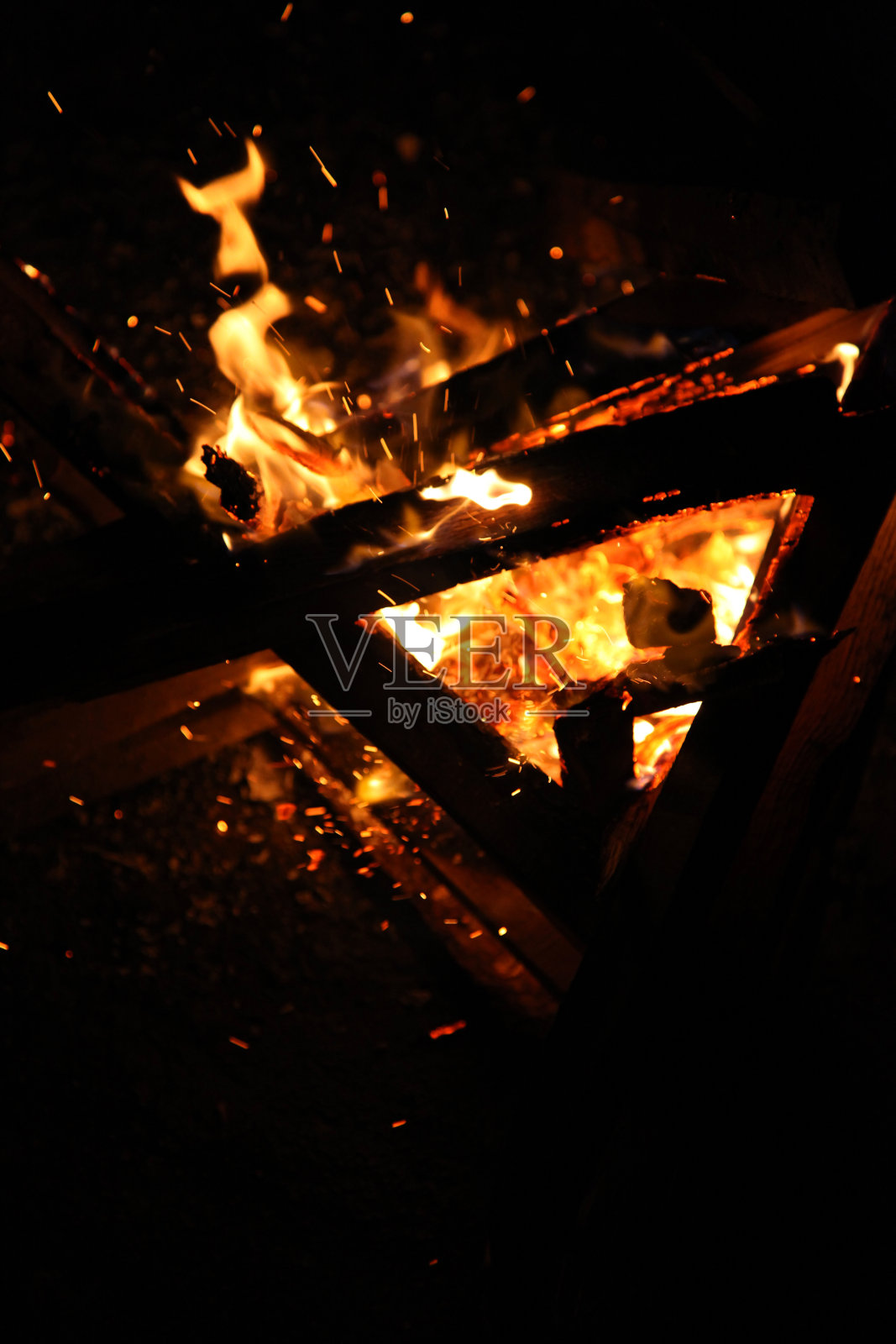 人们在森林里生火照片摄影图片