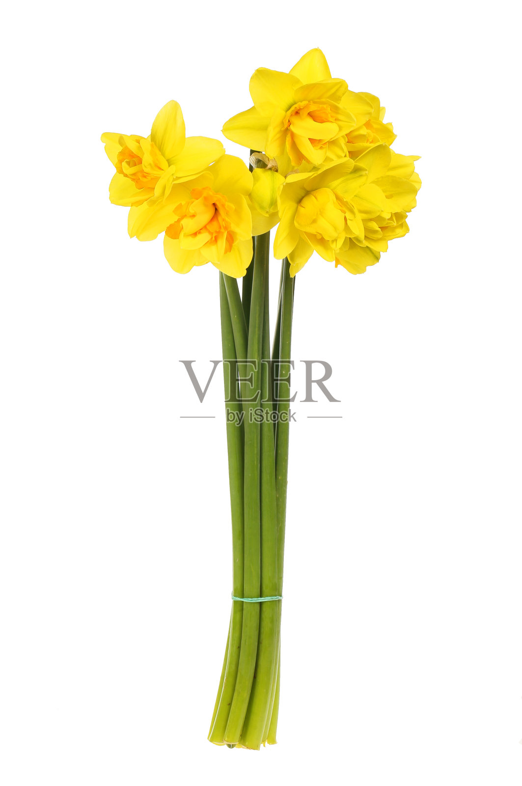 群懦夫照片摄影图片