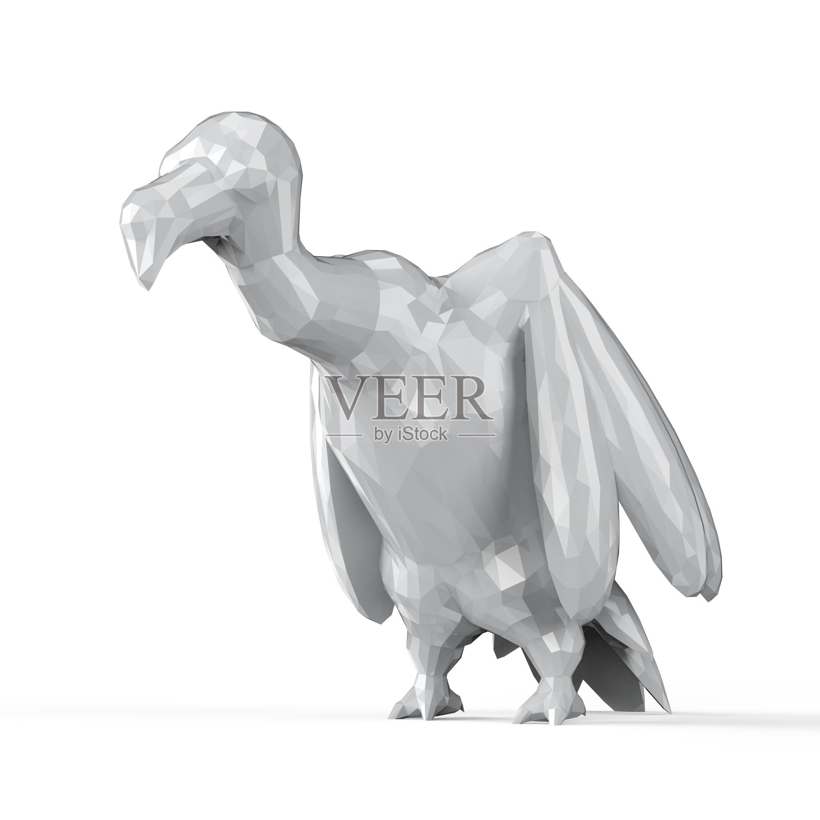 白色的多边形秃鹰照片摄影图片