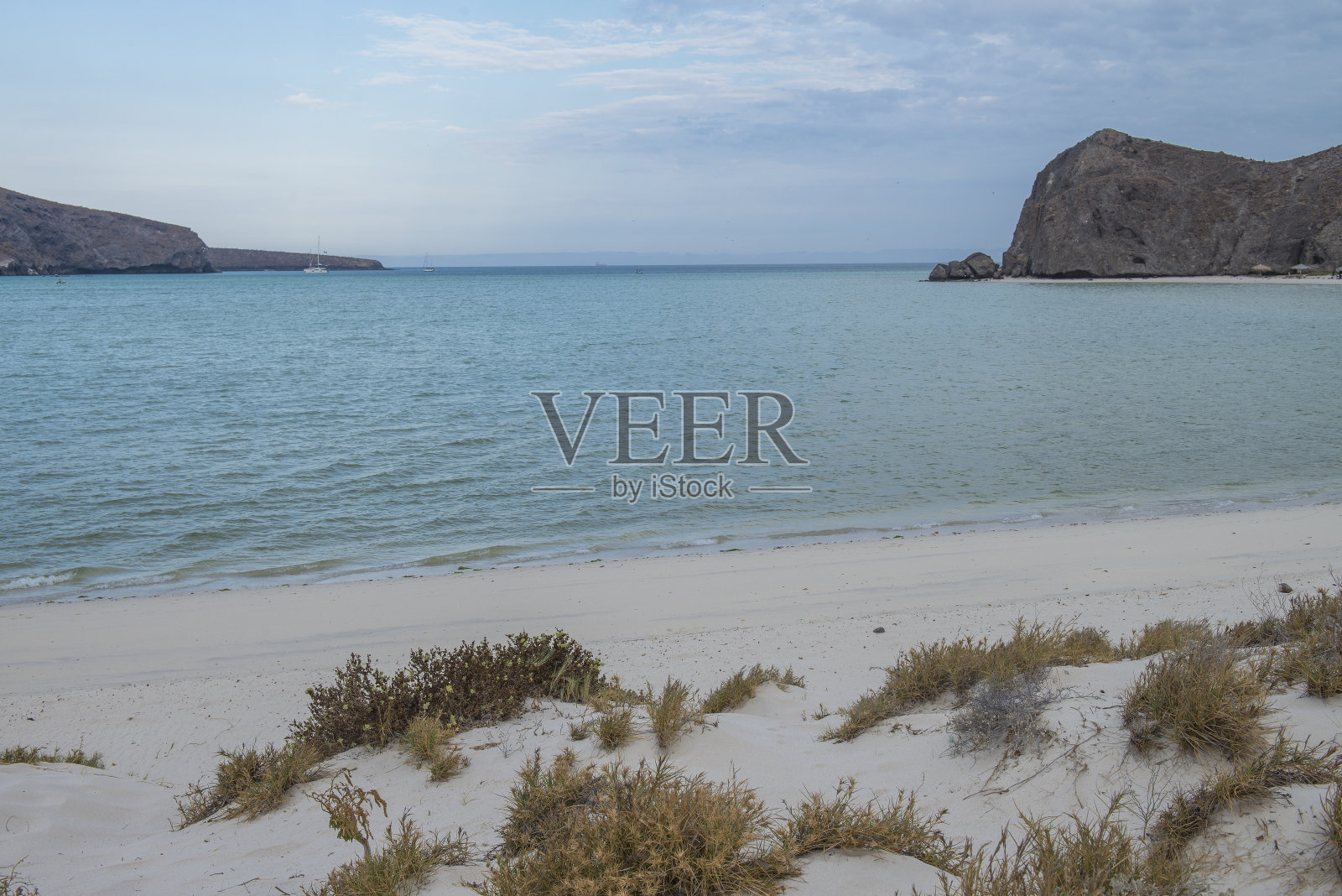 大海和沙漠,巴哈半岛。墨西哥照片摄影图片