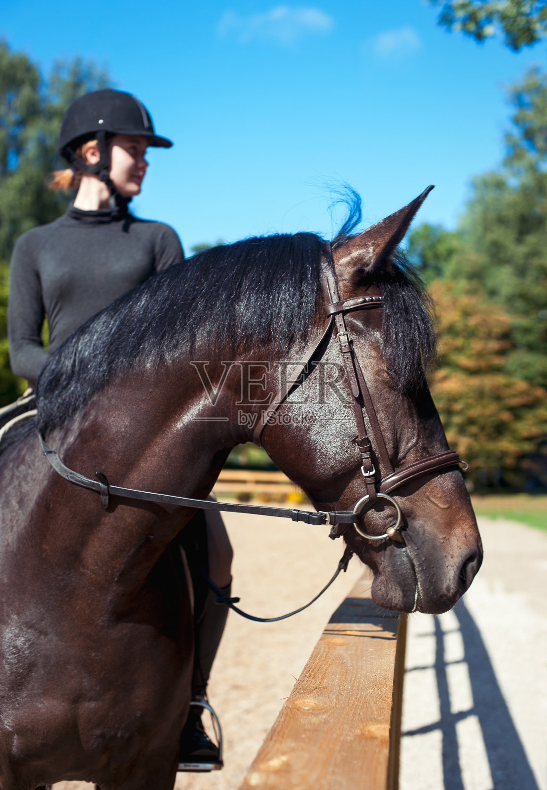 栗色马的肖像与欢快的少女骑马照片摄影图片