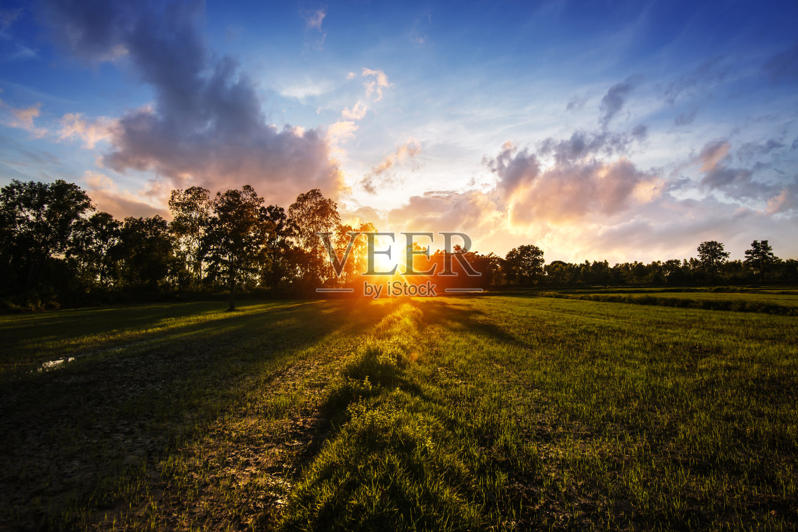 金色的时光里,小小的田野和夕阳的天空。照片摄影图片
