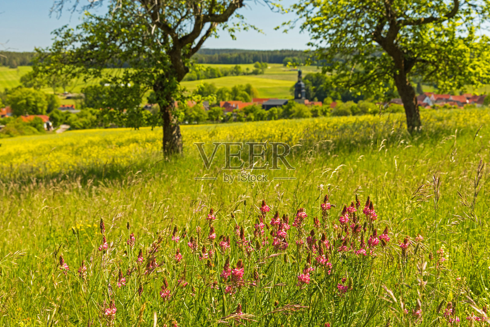 图林根的辛根村景色优美照片摄影图片