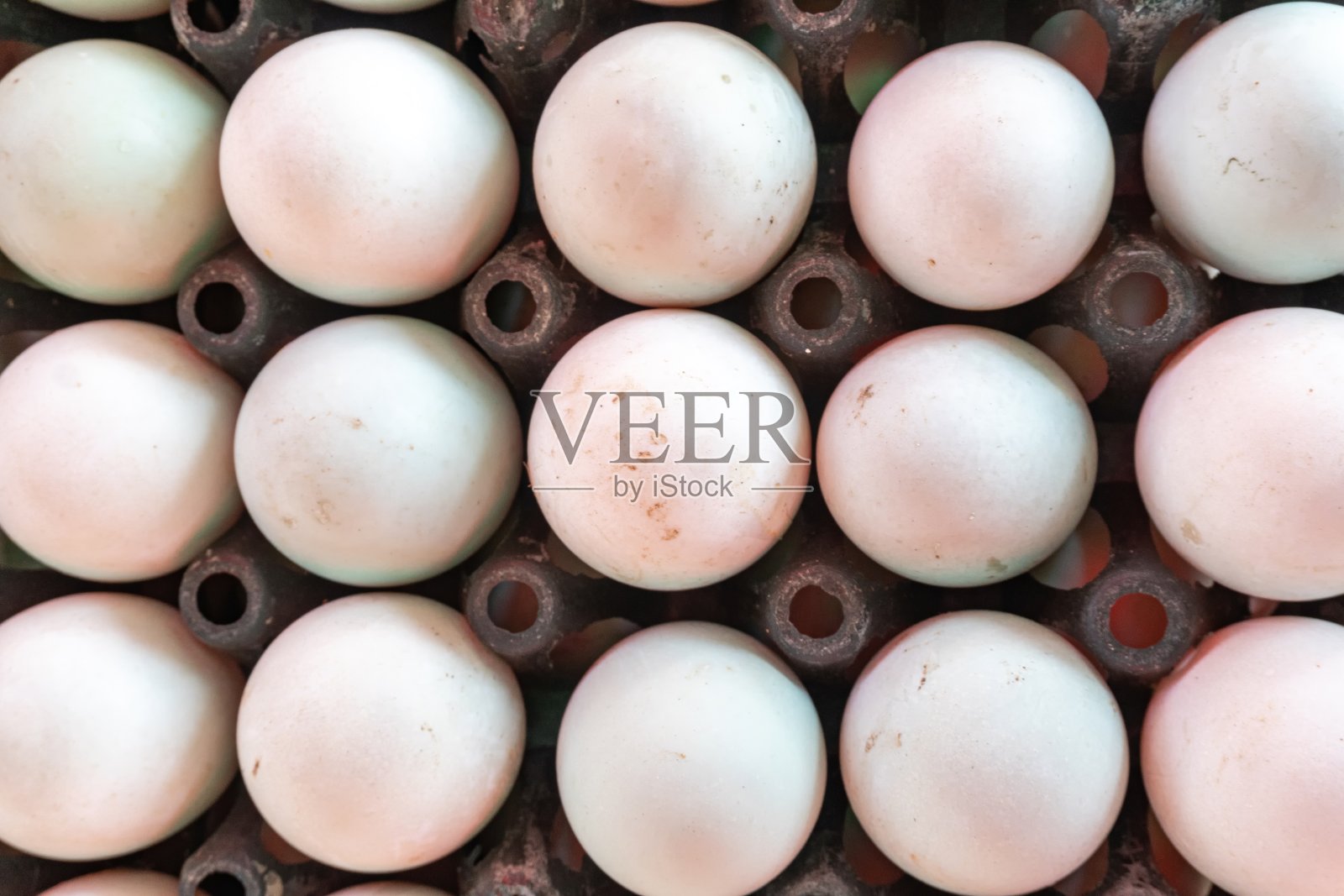 新鲜鸭蛋放在鸡蛋容器上照片摄影图片