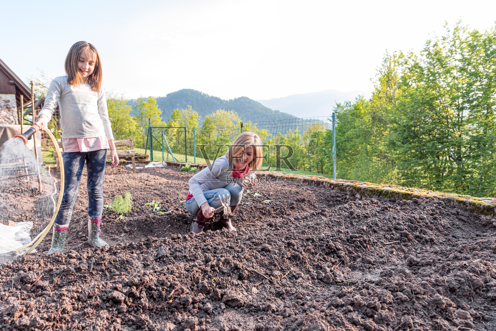 夕阳中的母女在春天的菜园里劳作照片摄影图片