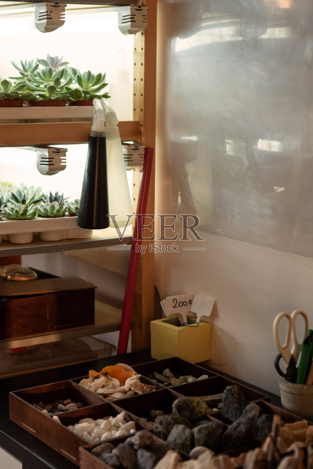 摆满植物和石头的架子照片摄影图片