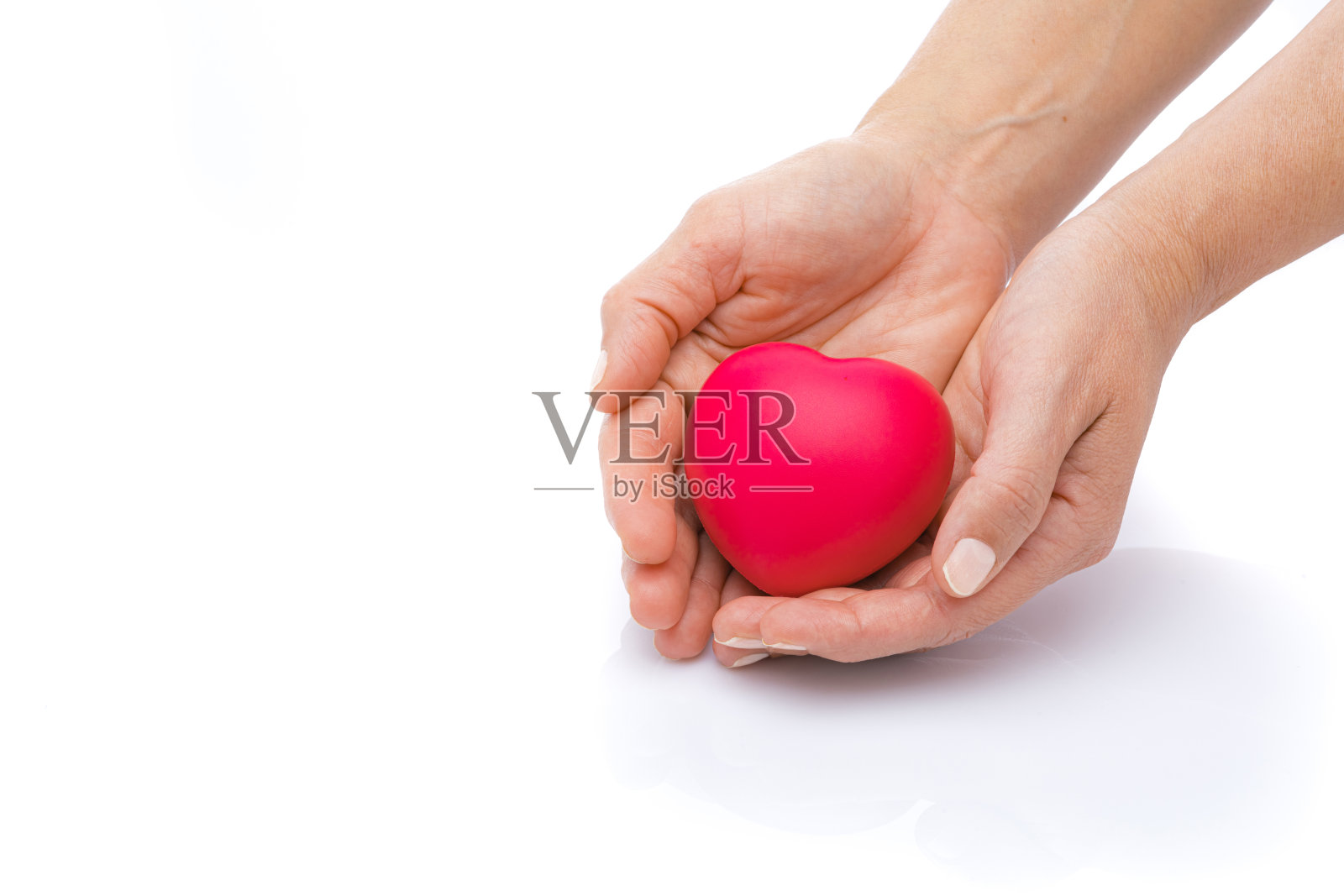 双手捧着红心,映衬着白底照片摄影图片