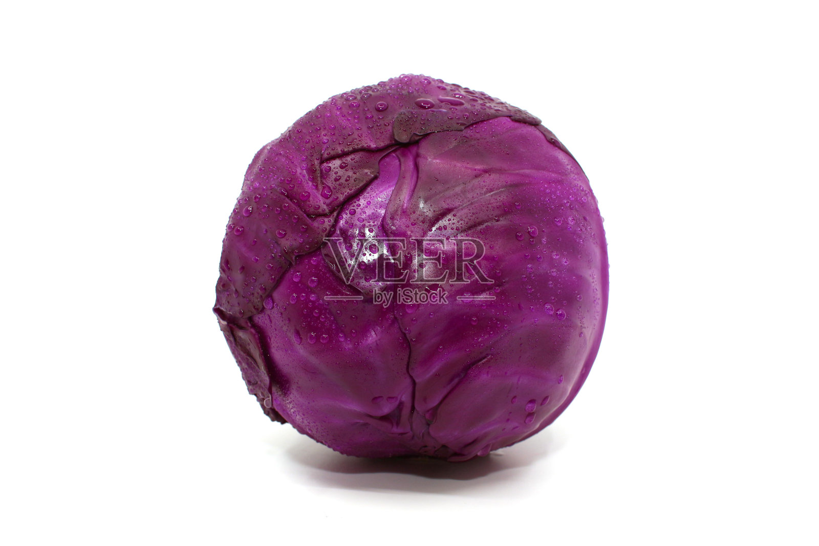 新鲜的卷心菜照片摄影图片