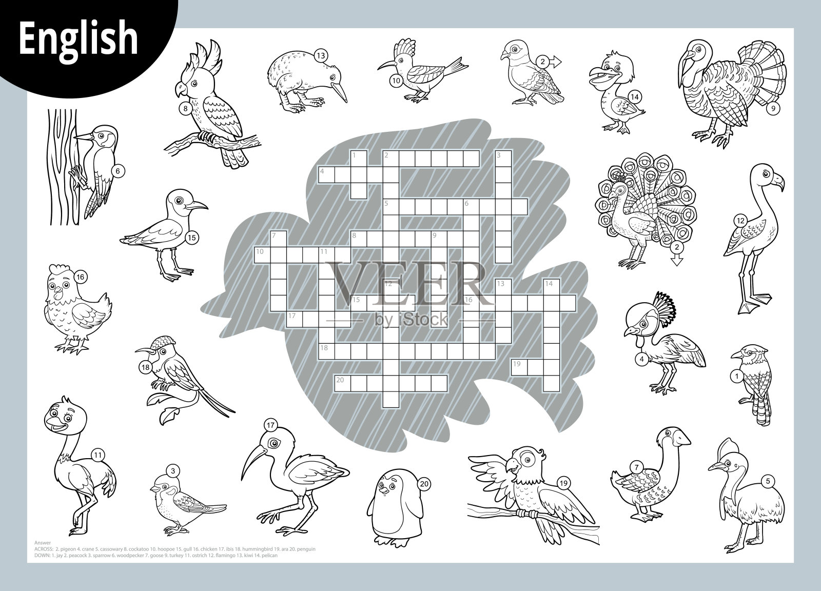 英文黑白字谜,儿童教育游戏。卡通的各种鸟插画图片素材