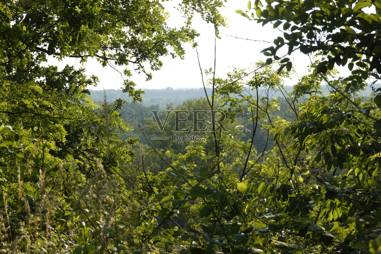景观照片摄影图片
