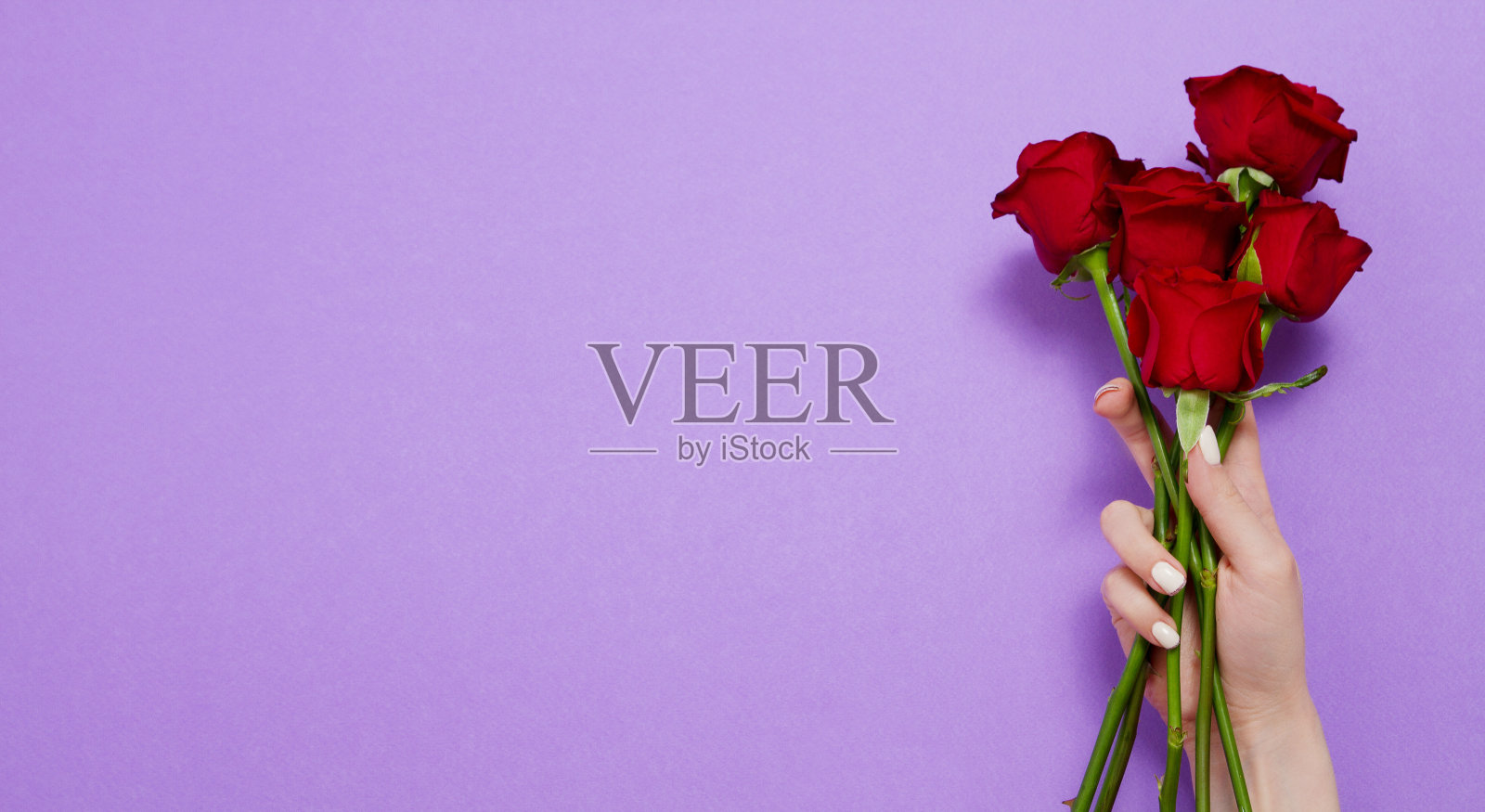 玫瑰在红色背景孤立。俯视图和模拟。母亲和情人节。女人假期。墙纸和浪漫的概念。花玫瑰花束。花的生日礼物。横幅照片摄影图片