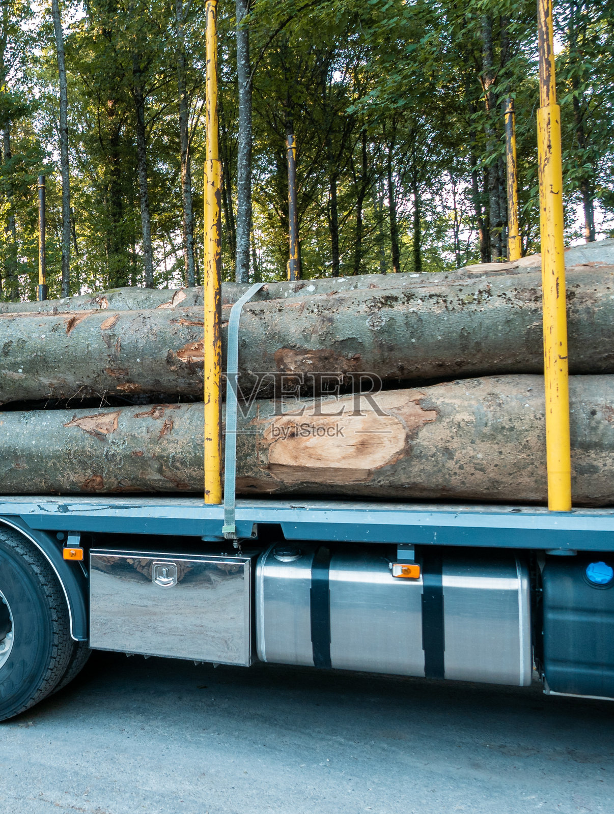 大树干装载到卡车拖车上,并系好准备运输照片摄影图片