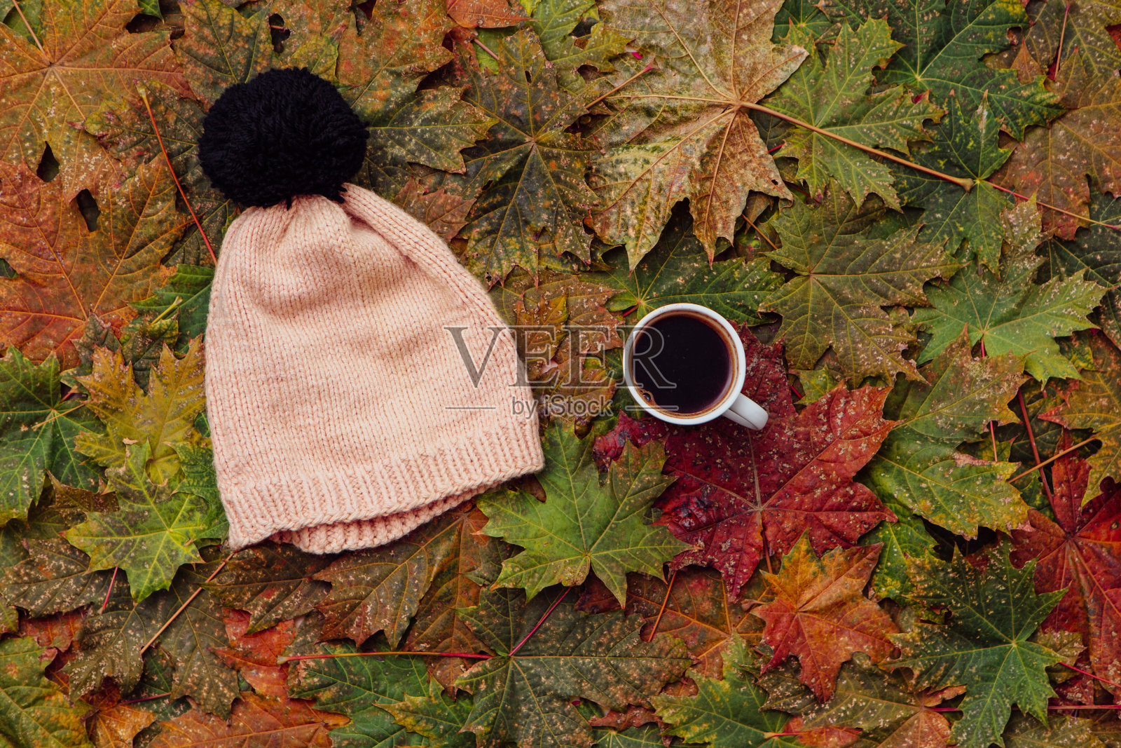 帽子和一杯咖啡放在枫叶的背景上。照片摄影图片