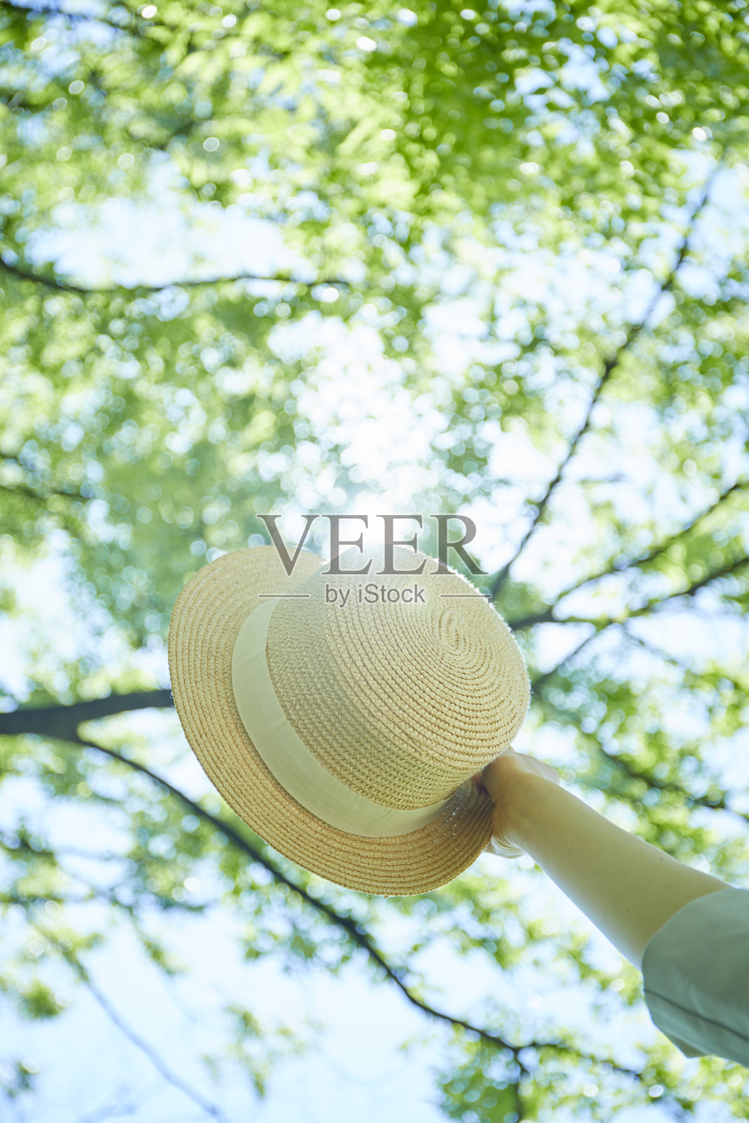 年轻女子的手与帽子在青翠照片摄影图片