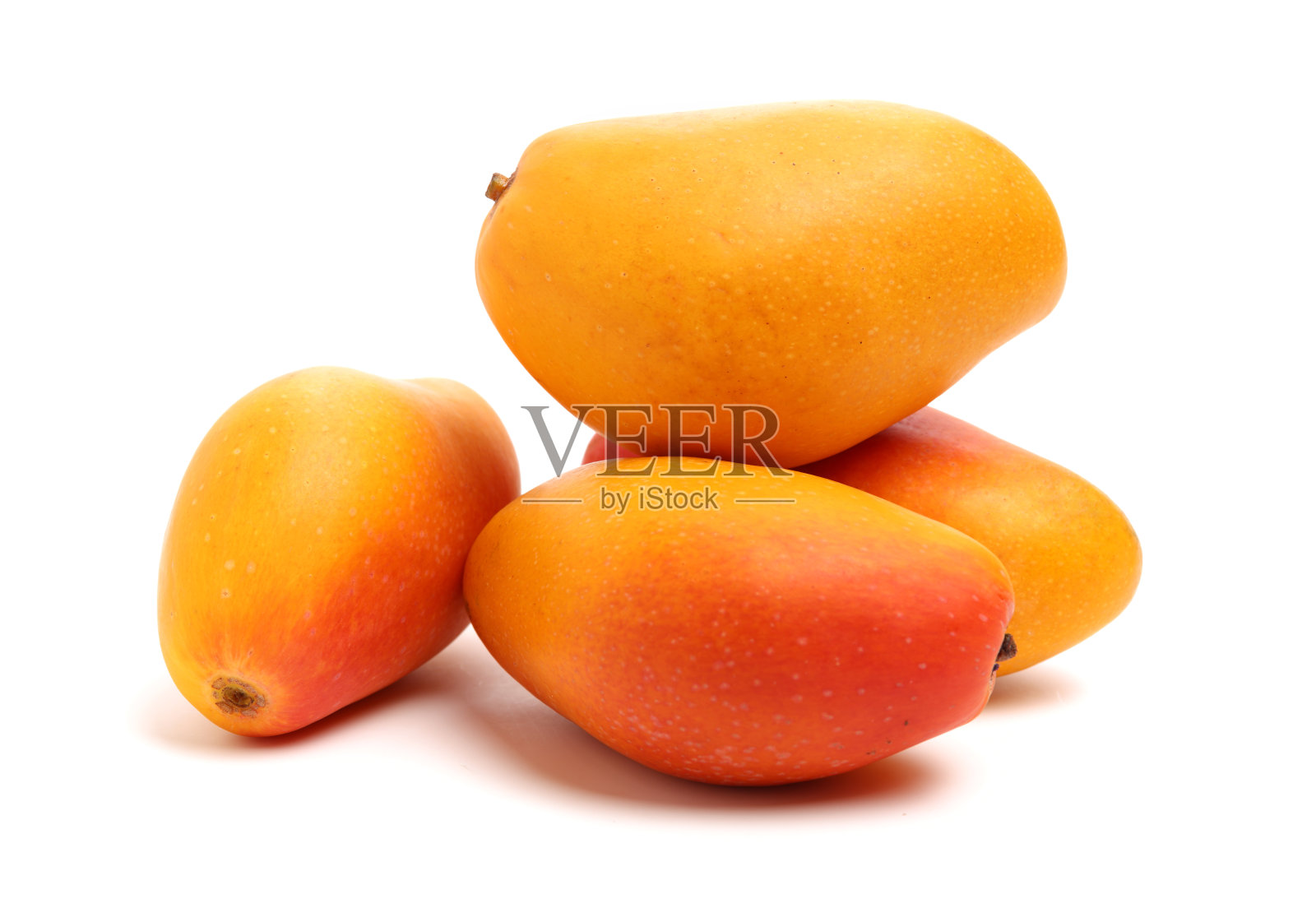 处理照片摄影图片