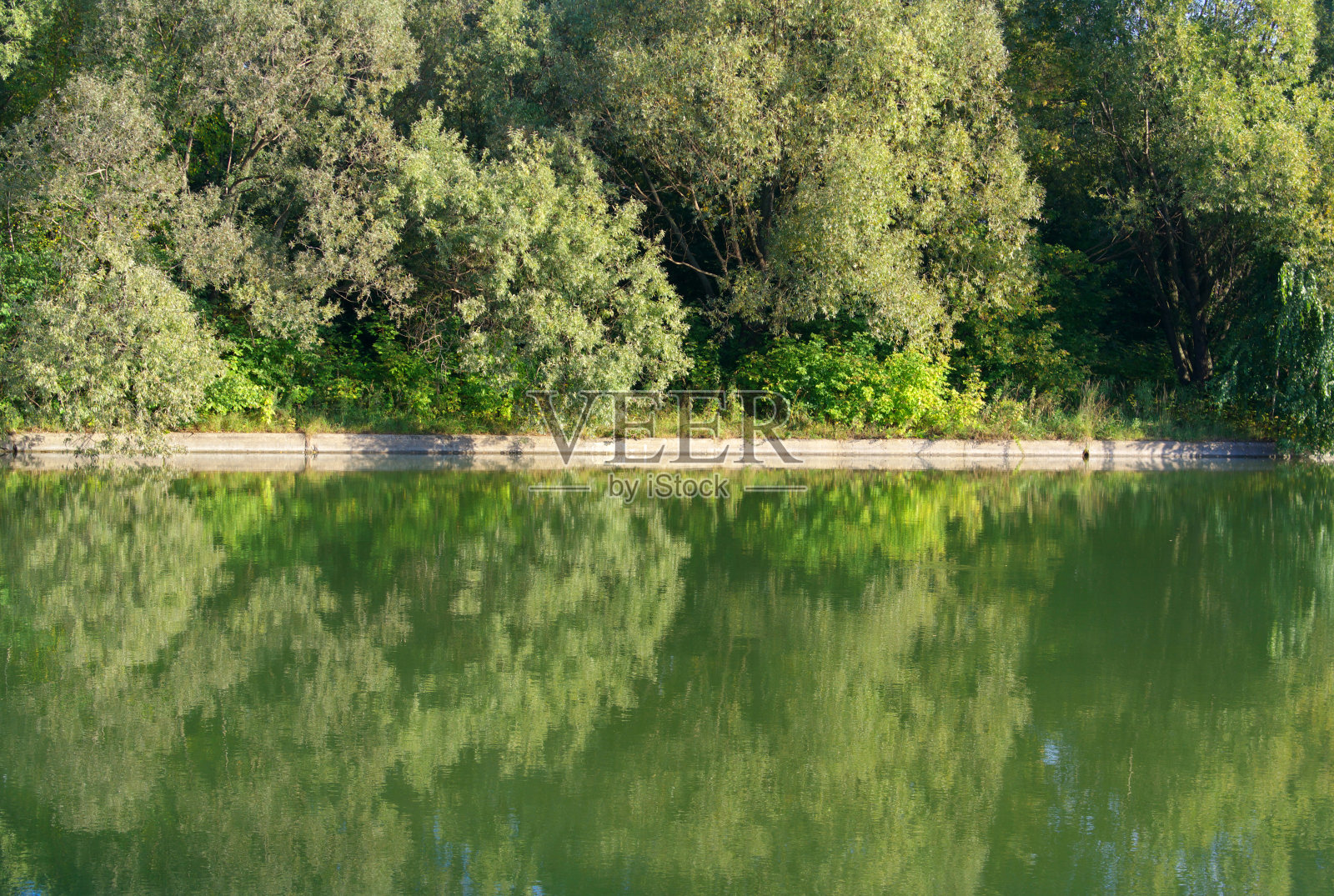 夏天的公园照片摄影图片