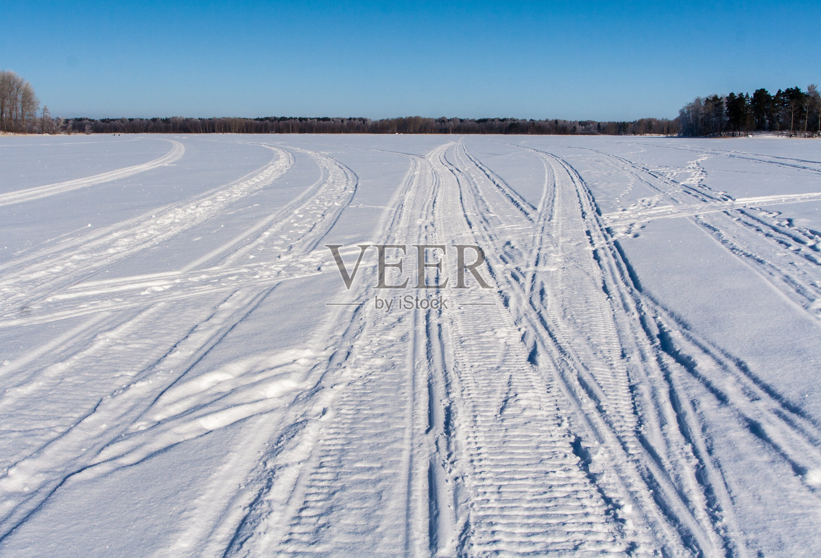 白雪皑皑的田野,树木在冬天照片摄影图片