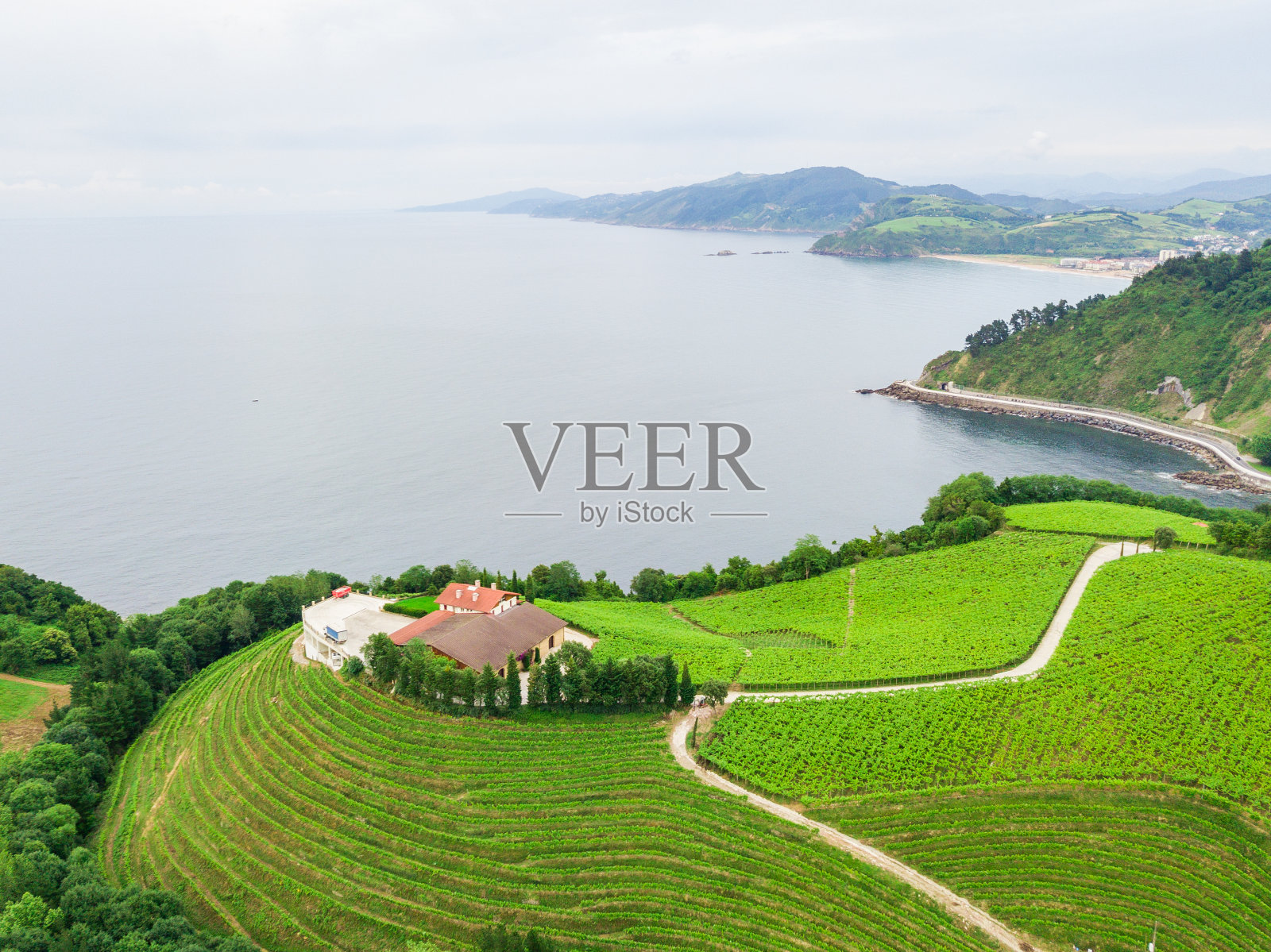 巴斯克乡村海岸葡萄藤田的美丽景色照片摄影图片